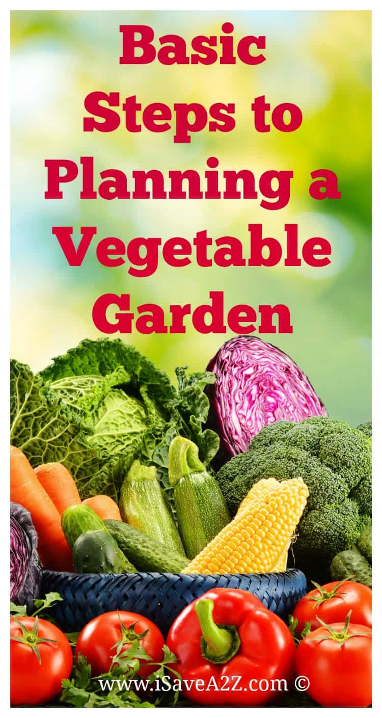 Basic Steps to Planning a Vegetable Garden