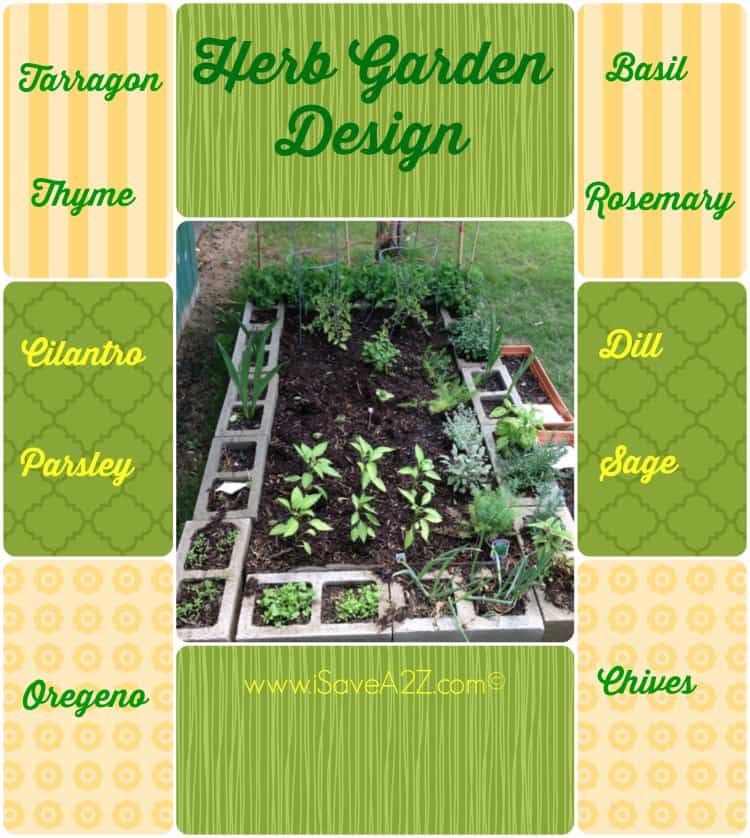 Versatile Herb Garden Design