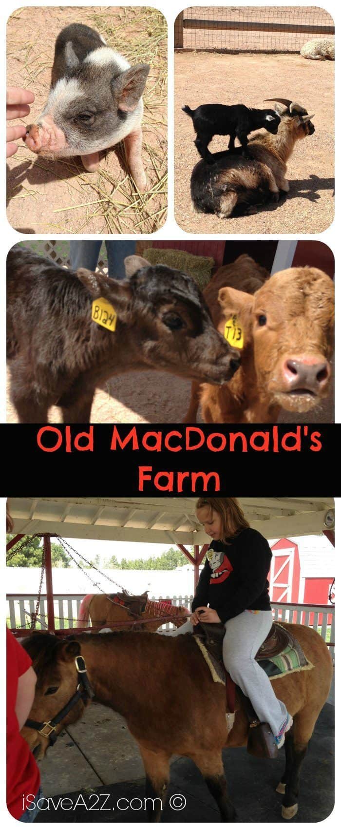 Old MacDonald's Farm in Rapid City, South Dakota