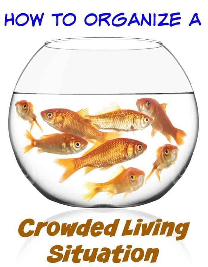 How to Organize a Crowded Living Situation