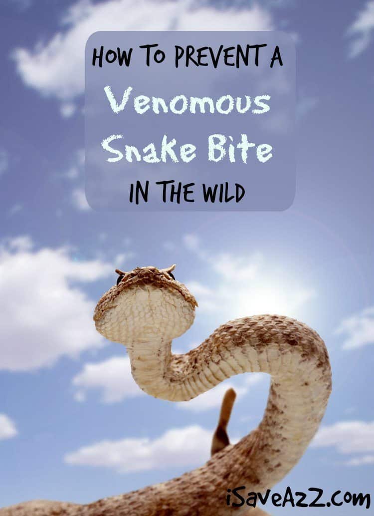 How to Prevent a Venomous Snake Bite in the Wild