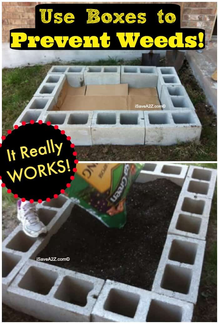 Use Boxes in a Raised Garden to Prevent Weeds