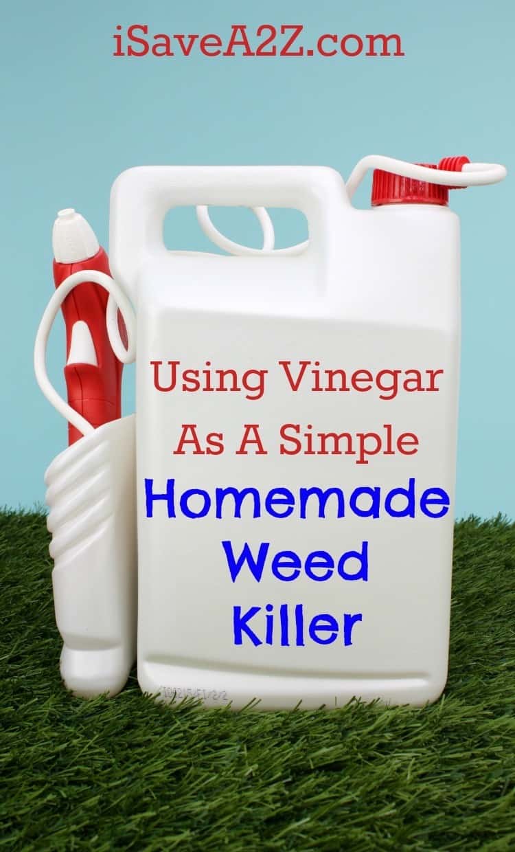 Using Vinegar As A Simple Homemade Weed Killer