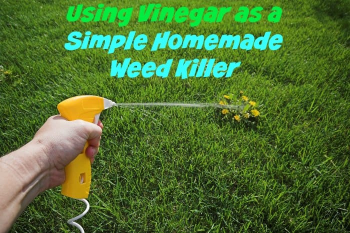 Using Vinegar As A Simple Homemade Weed Killer