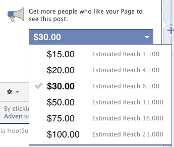 promoting your Facebook fan page fee schedule