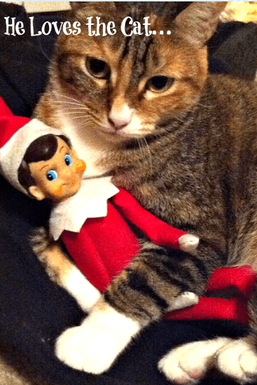 Elf on the shelf cat top