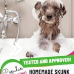 Homemade Skunk Odor Removal Recipe for Dogs