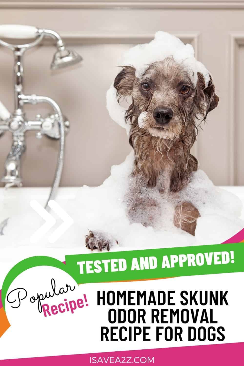 Natures Miracle Skunk Odor Removal for Dogs!
