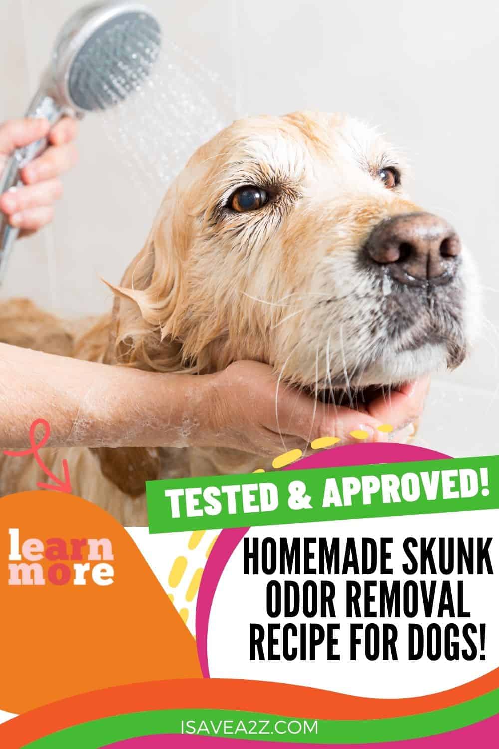Homemade dog shampoo on sale for skunk smell