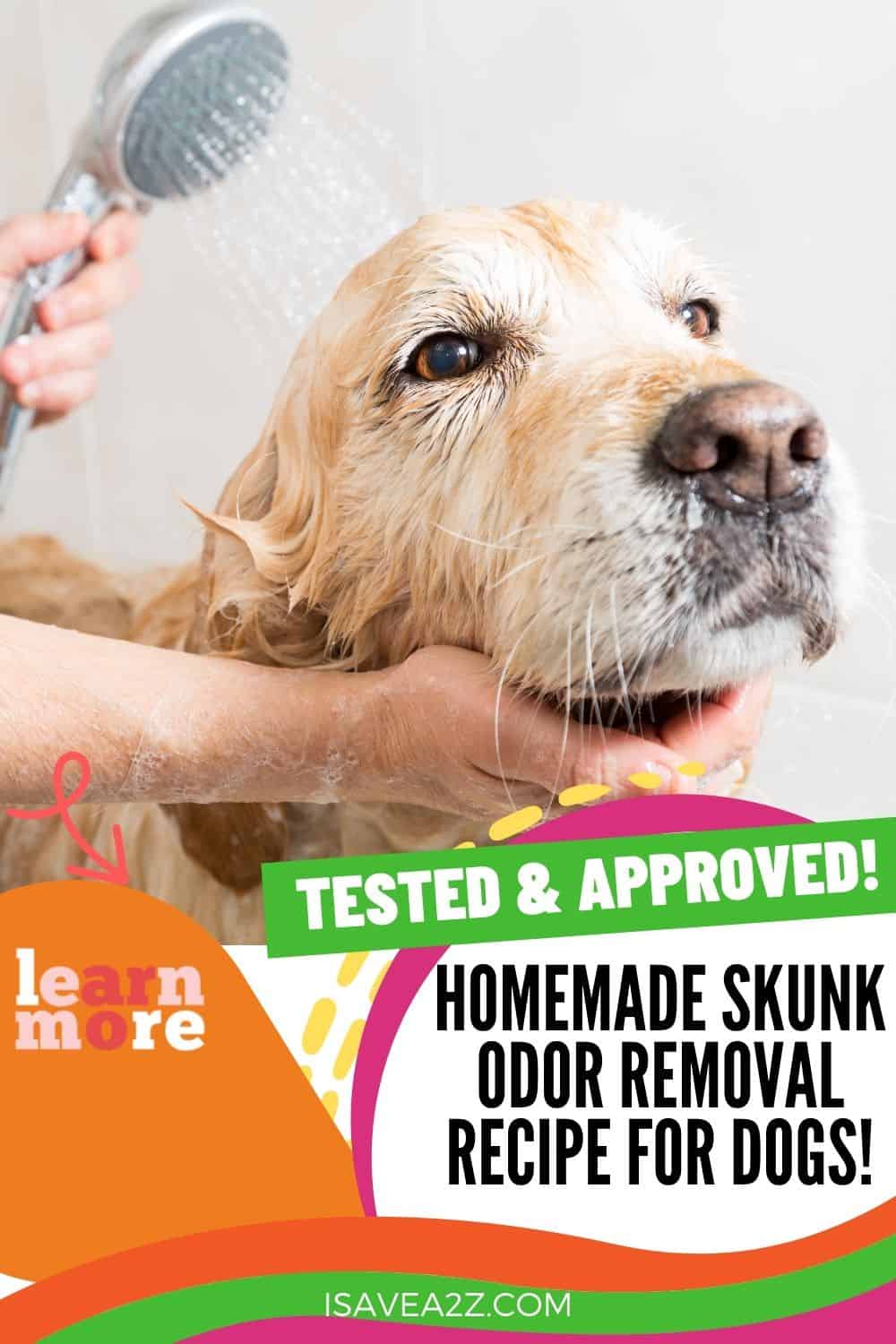 Homemade Skunk Odor Removal Recipe for Dogs