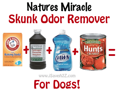 nature's miracle skunk odor remover ingredients