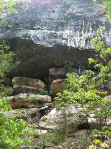 Hamilton Pool Preserve