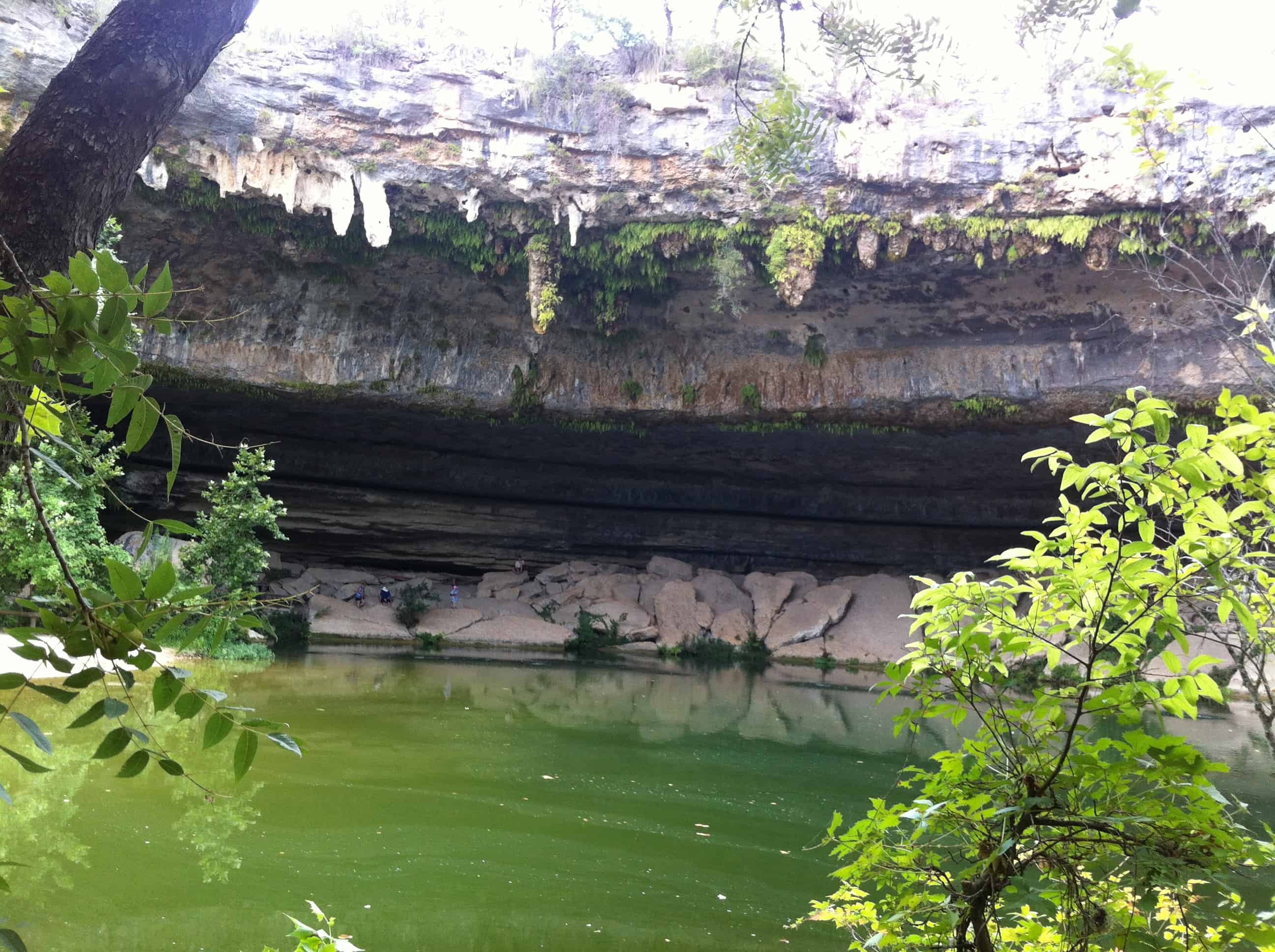 Hamilton Pool Preserve