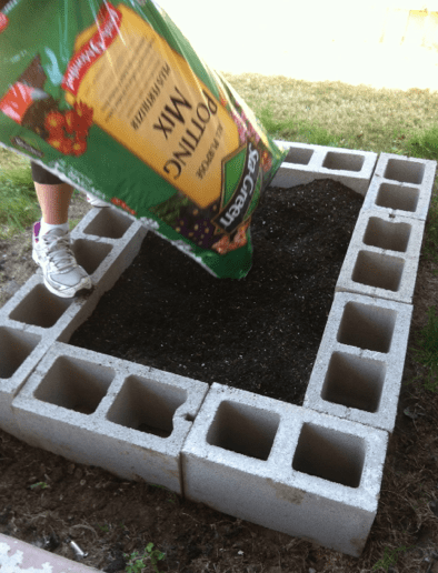 raised bed garden designs