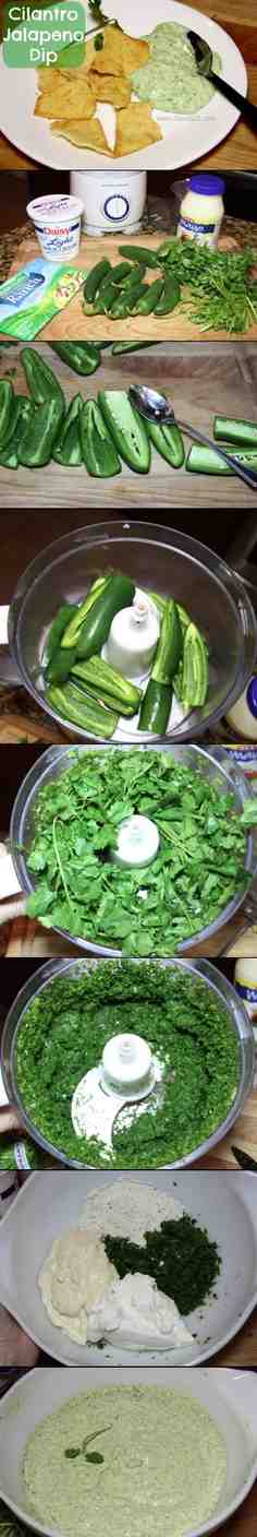 Cilantro Jalapeno Dip Recipe