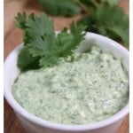 Cilantro Jalapeno Dip Recipe