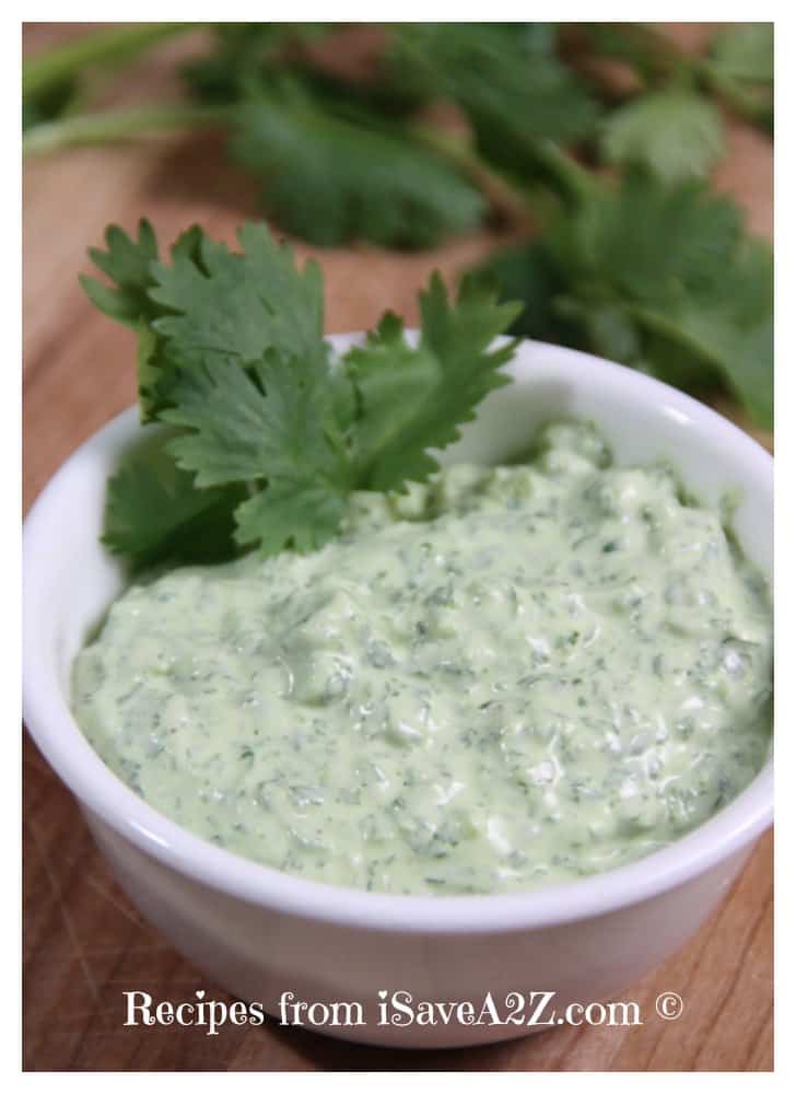 Cilantro Jalapeno Dip Recipe