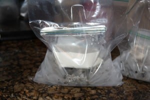 homemade ice cream in a bag