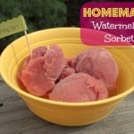 Homemade Sorbet Recipe: Watermelon