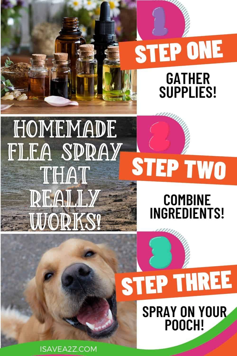 Homemade Flea Spray recipe that really works!