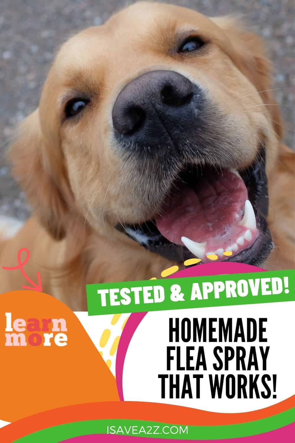 Homemade Flea Spray Recipe for Dogs!!!  (Chemical free)