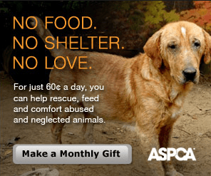 ASPCA Donations needed