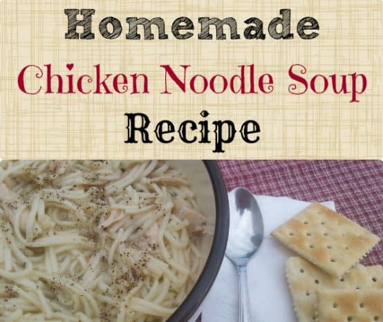 Homemade Chicken Noodle Soup Recipe