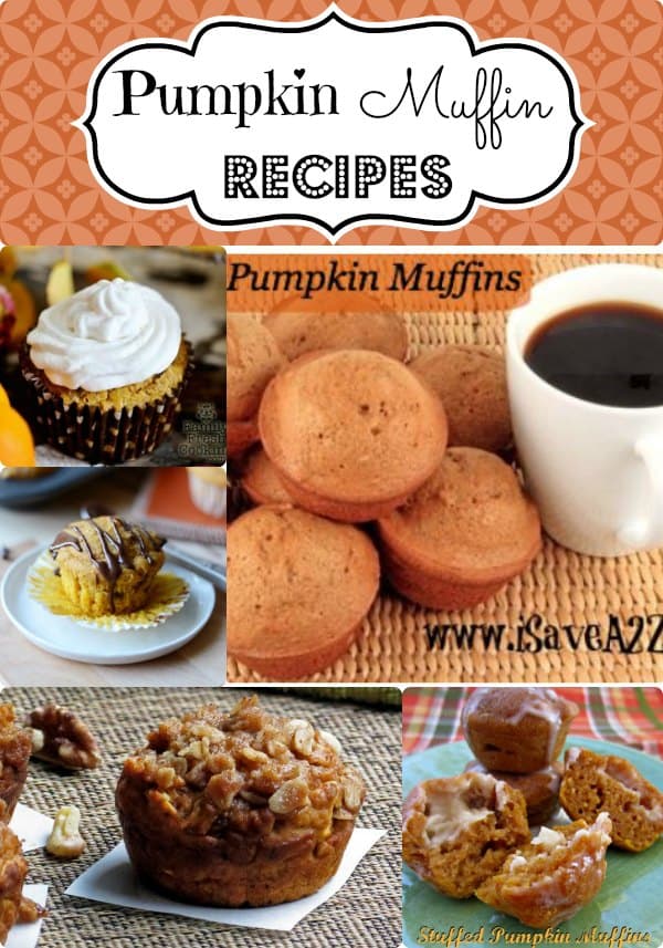 pumpkin muffin recipes