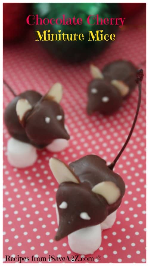 Chocolate Cherry Mice Recipe