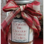 Cookies in a Jar Recipe:  Cranberry White Chocolate Oatmeal Cookies