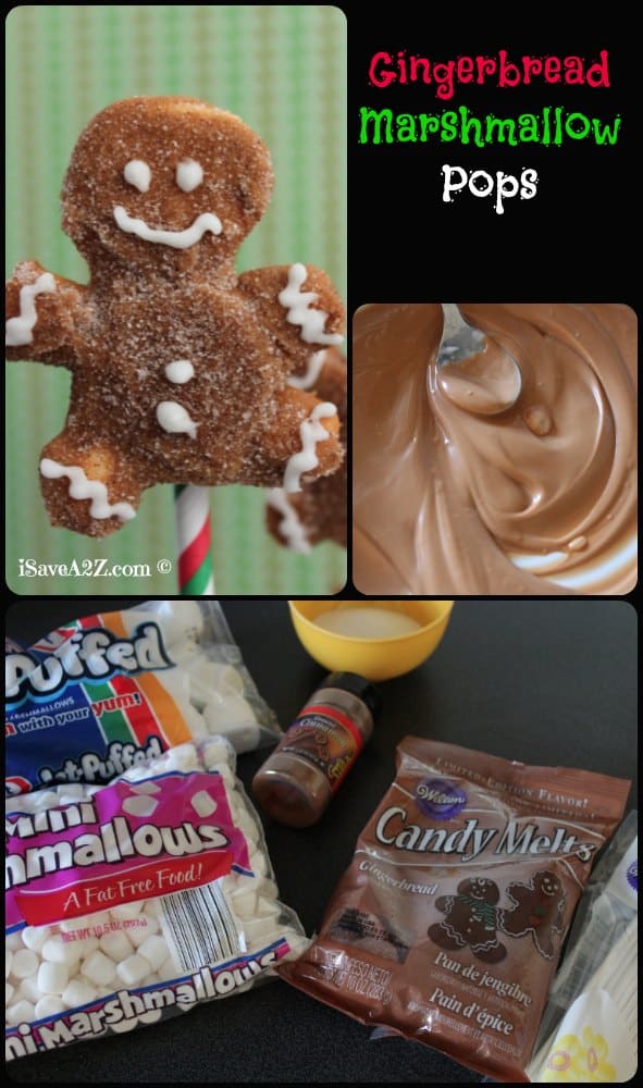 Easy Gingerbread Marshmallow Pops Recipe - iSaveA2Z.com