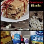 White Chocolate Cranberry Blondies Recipe