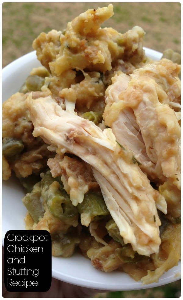 Crockpot Chicken and Stuffing Recipe Ingredients