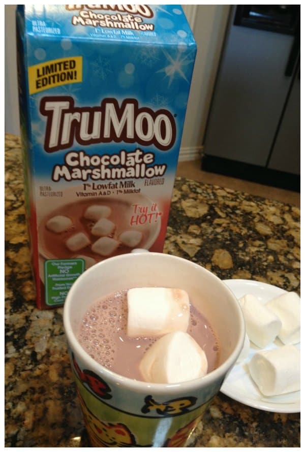 New!  TruMoo Chocolate Marshmallow Milk at Target! #TruMoo