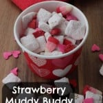 Strawberry Muddy Buddy