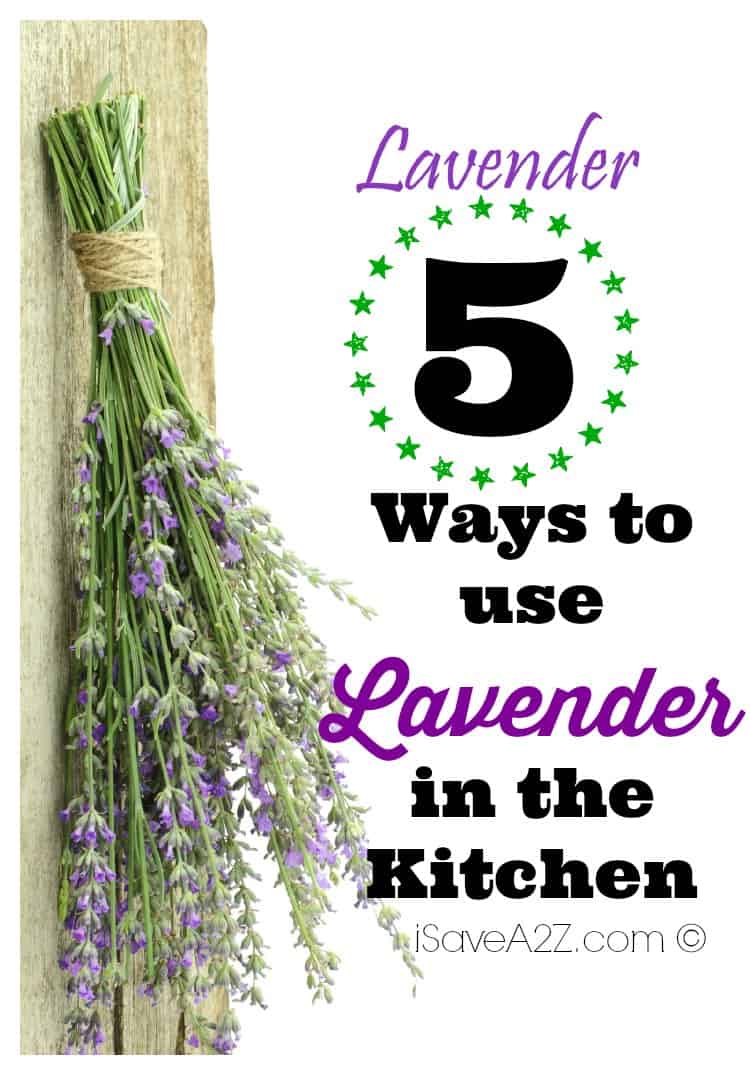 5 Ways to Use Lavender in the Kitchen iSaveA2Z