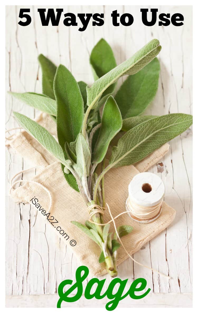 5 Ways to Use Sage in the Kitchen and Home