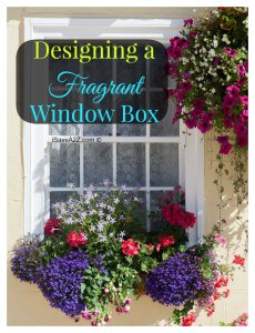 Designing a fragrant window box