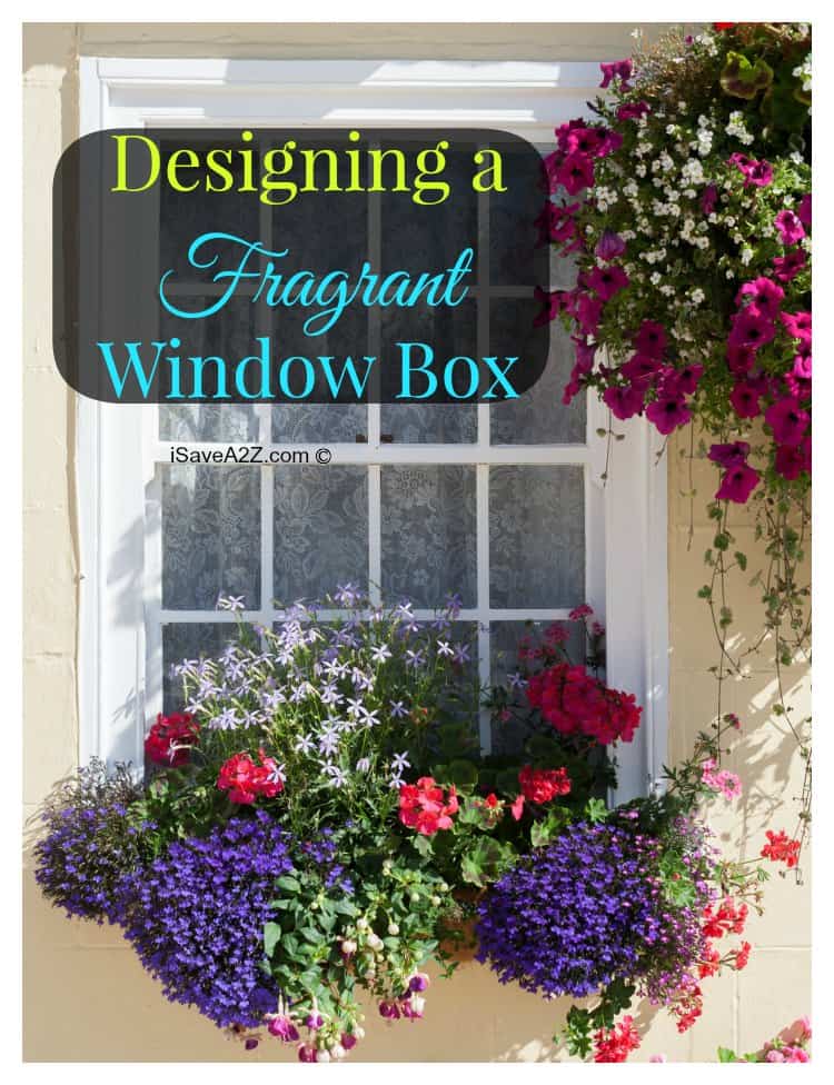 Designing a fragrant window box