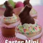 Easter Mini Cakes Recipe