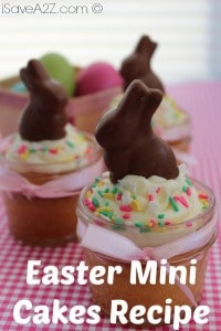 Easter Mini Cakes Recipe