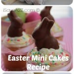 Easter Mini Cakes Recipe