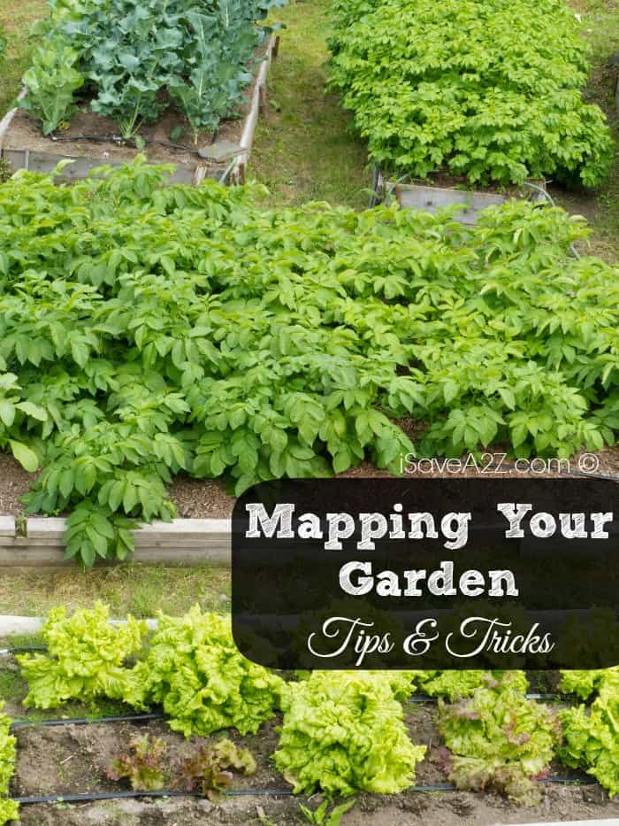 Mapping out your garden