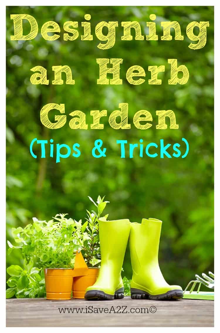 Versatile Herb Garden Design