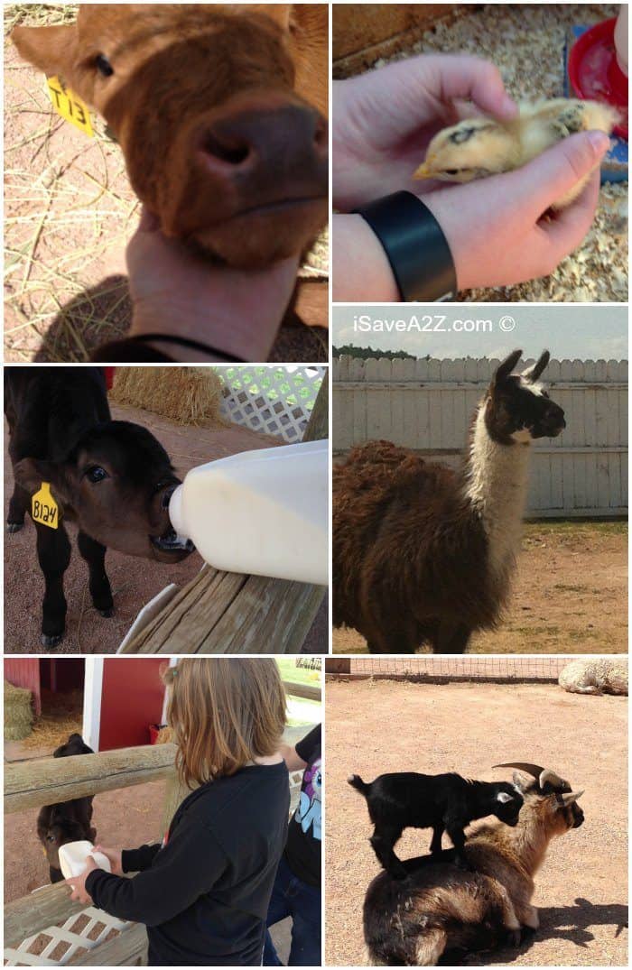 Old MacDonald’s Farm in Rapid City, South Dakota