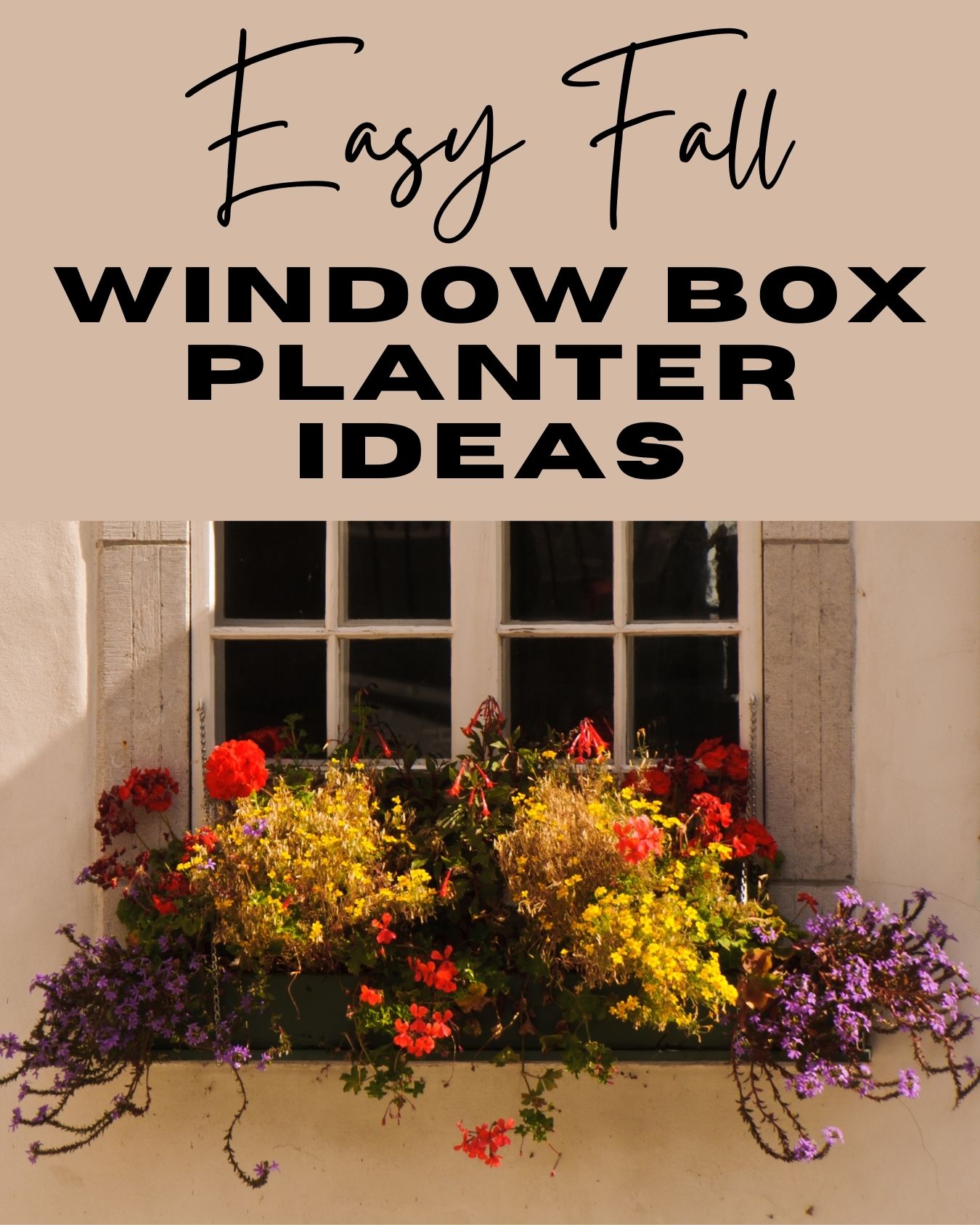 Easy Fall Window Box Planter Ideas