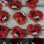 Pretzel Lady Bugs