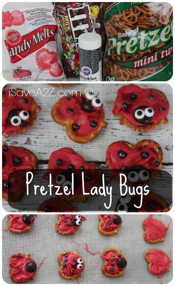 Pretzel Lady Bugs