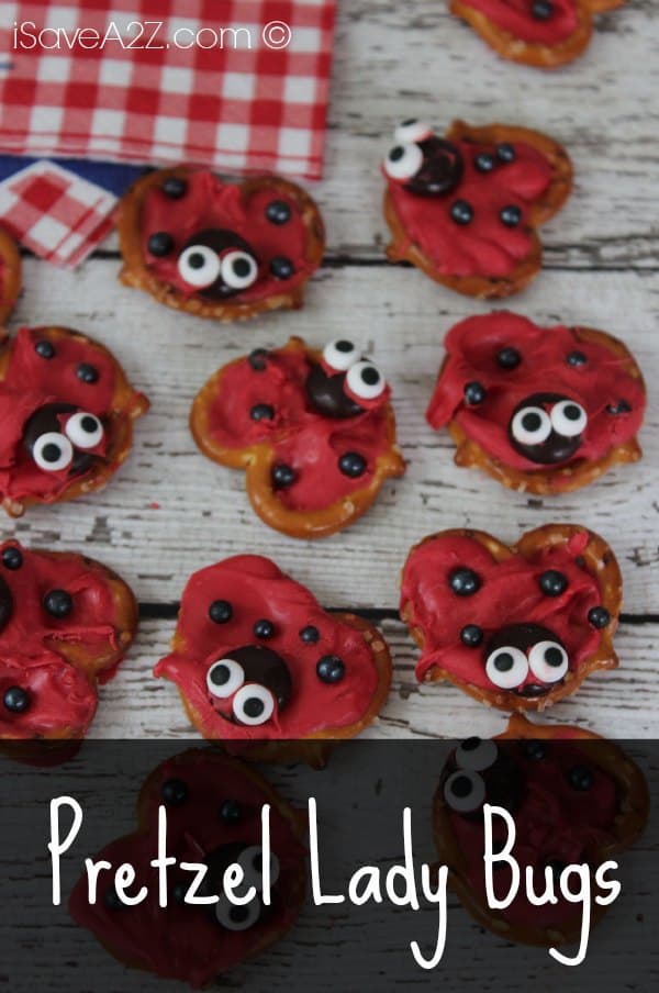 Pretzel Lady Bugs