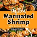 Best Grilled Marinated Shrimp Recipe